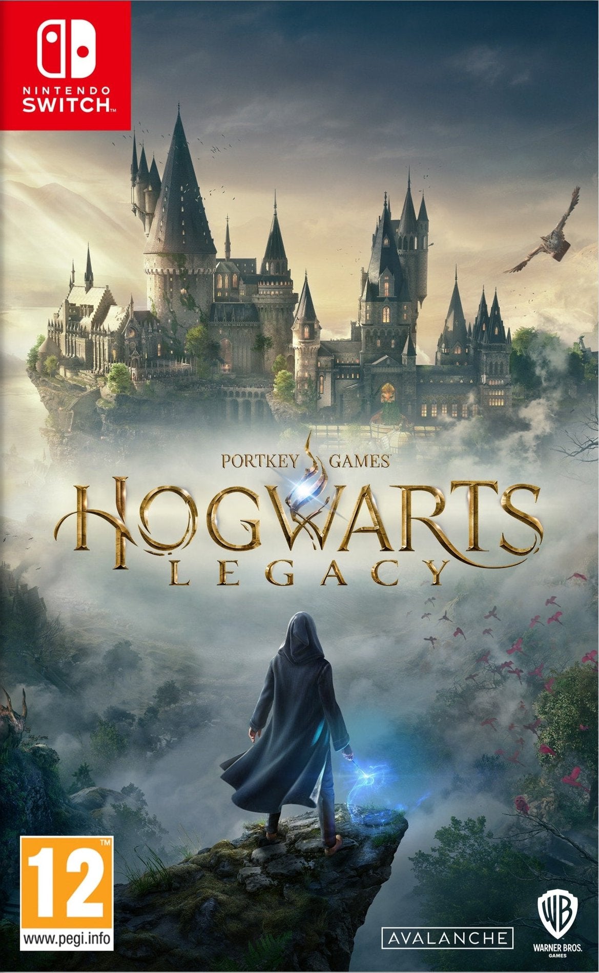 Hogwarts Legacy - Endast Spelkort